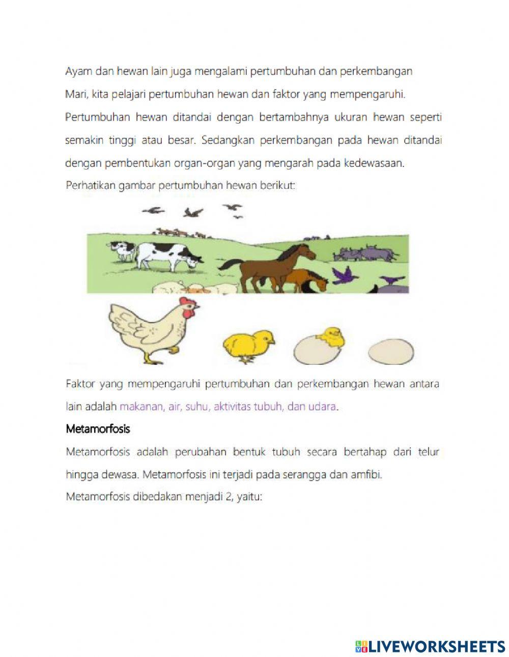 Pertumbuhan & Perkembangan Hewan