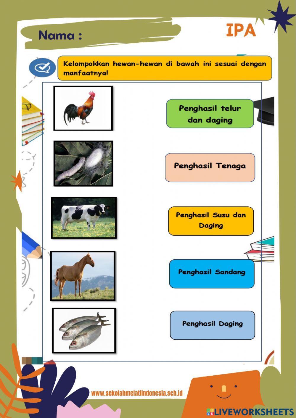 IPA Tema 2 Subtema 3 Sd 6