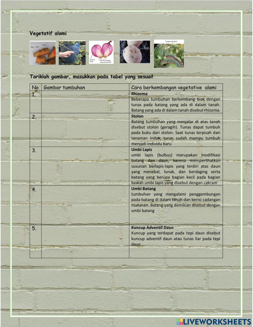 LKPD Kelas 9 3.2 Perkembangbiakan tumbuhan