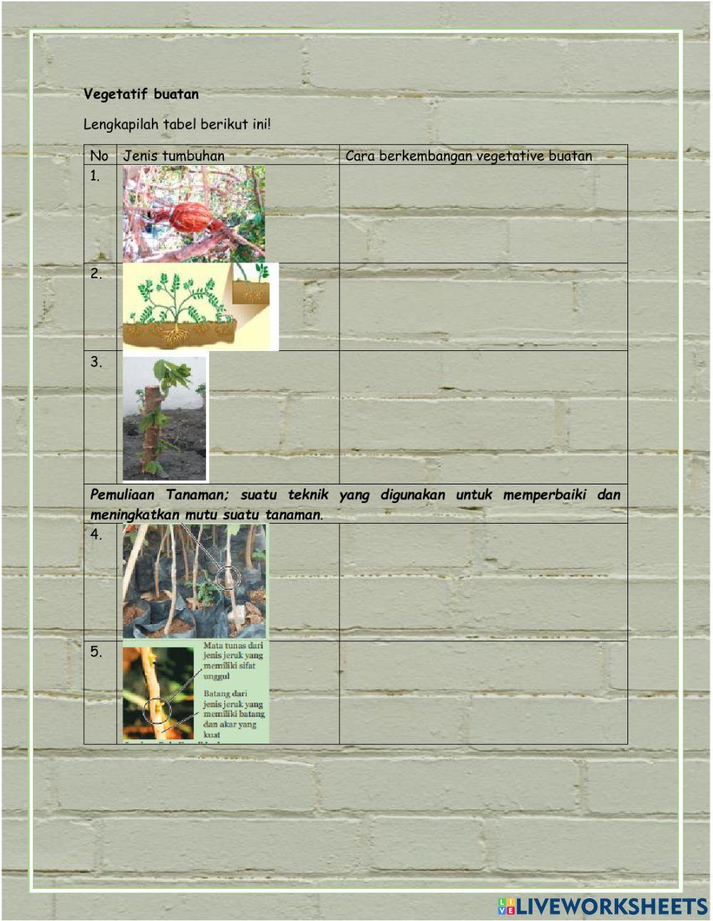 LKPD Kelas 9 3.2 Perkembangbiakan tumbuhan