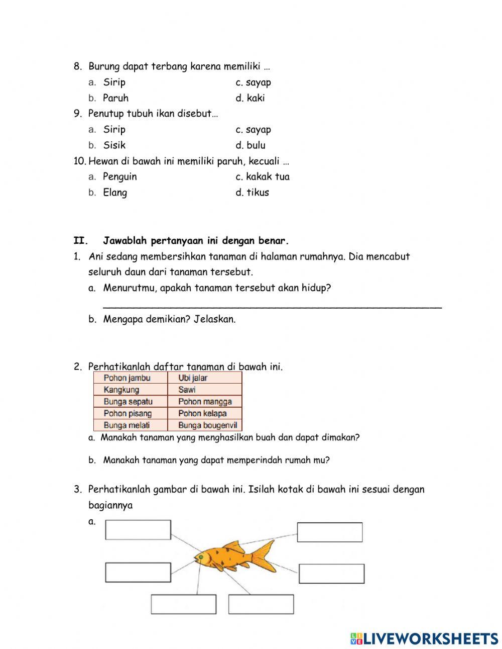 Module evaluation IPA