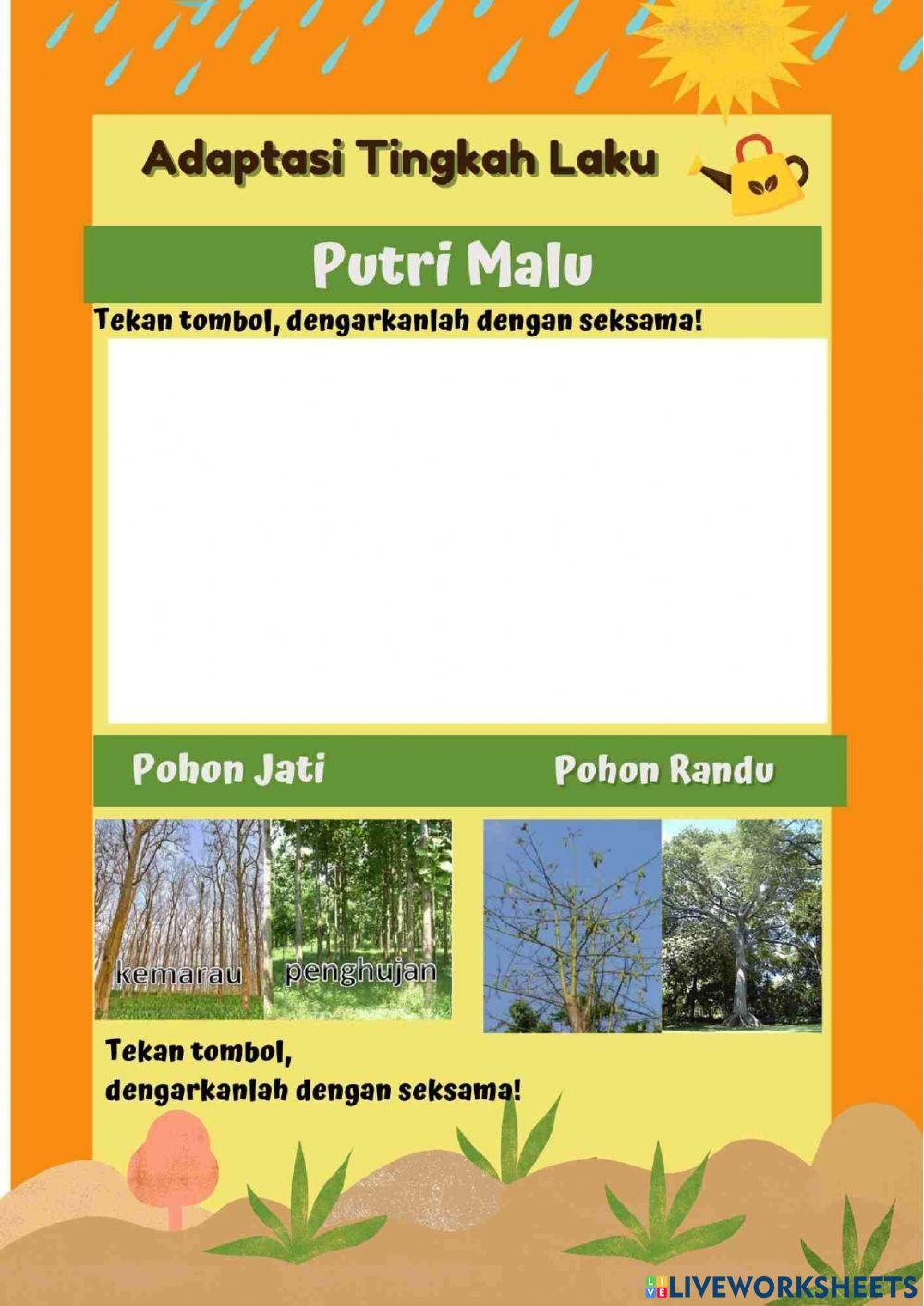 Live 2 - Penyesuaian diri tumbuhan terhadap tempat hidupnya