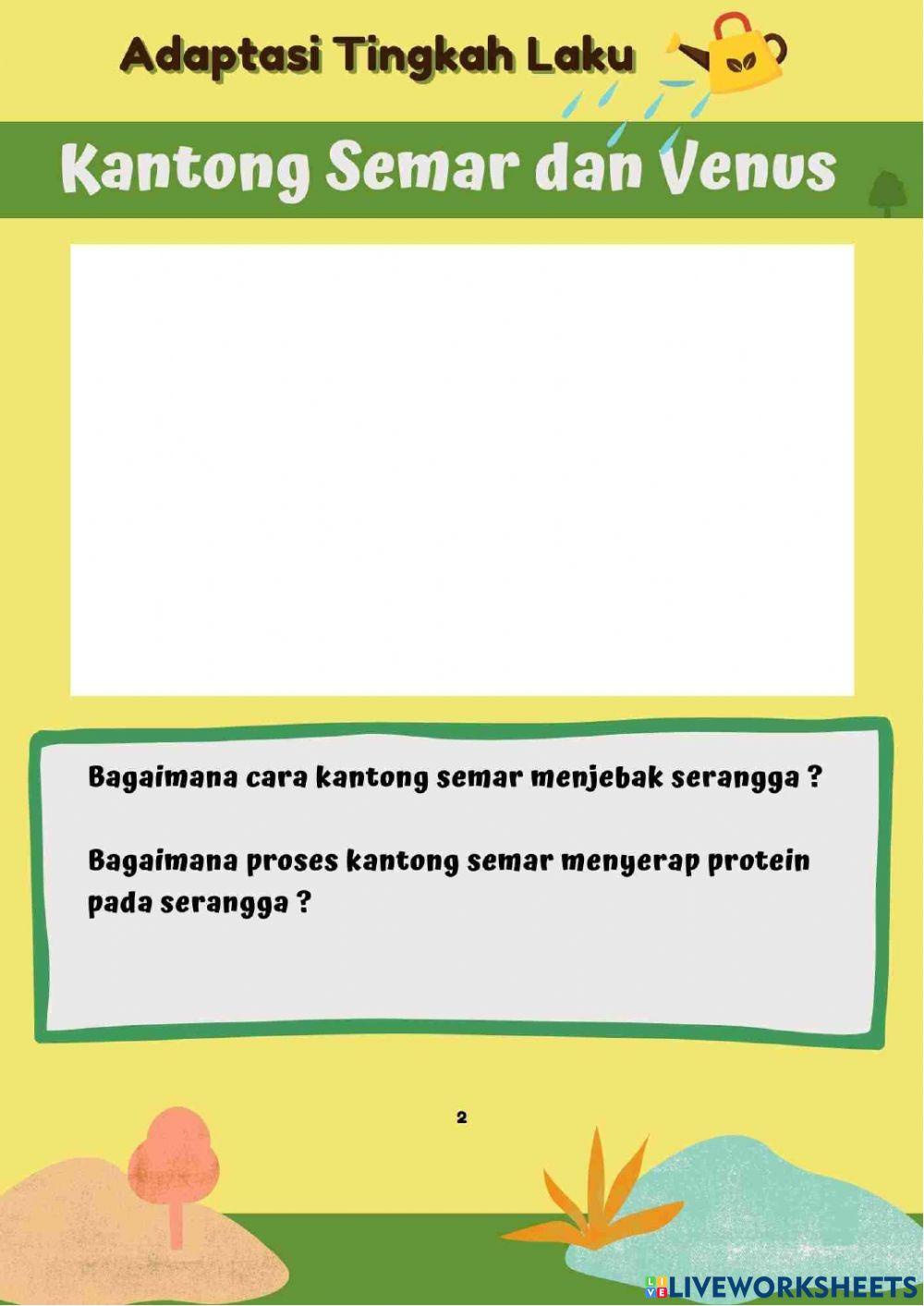 Live 2 - Penyesuaian diri tumbuhan terhadap tempat hidupnya