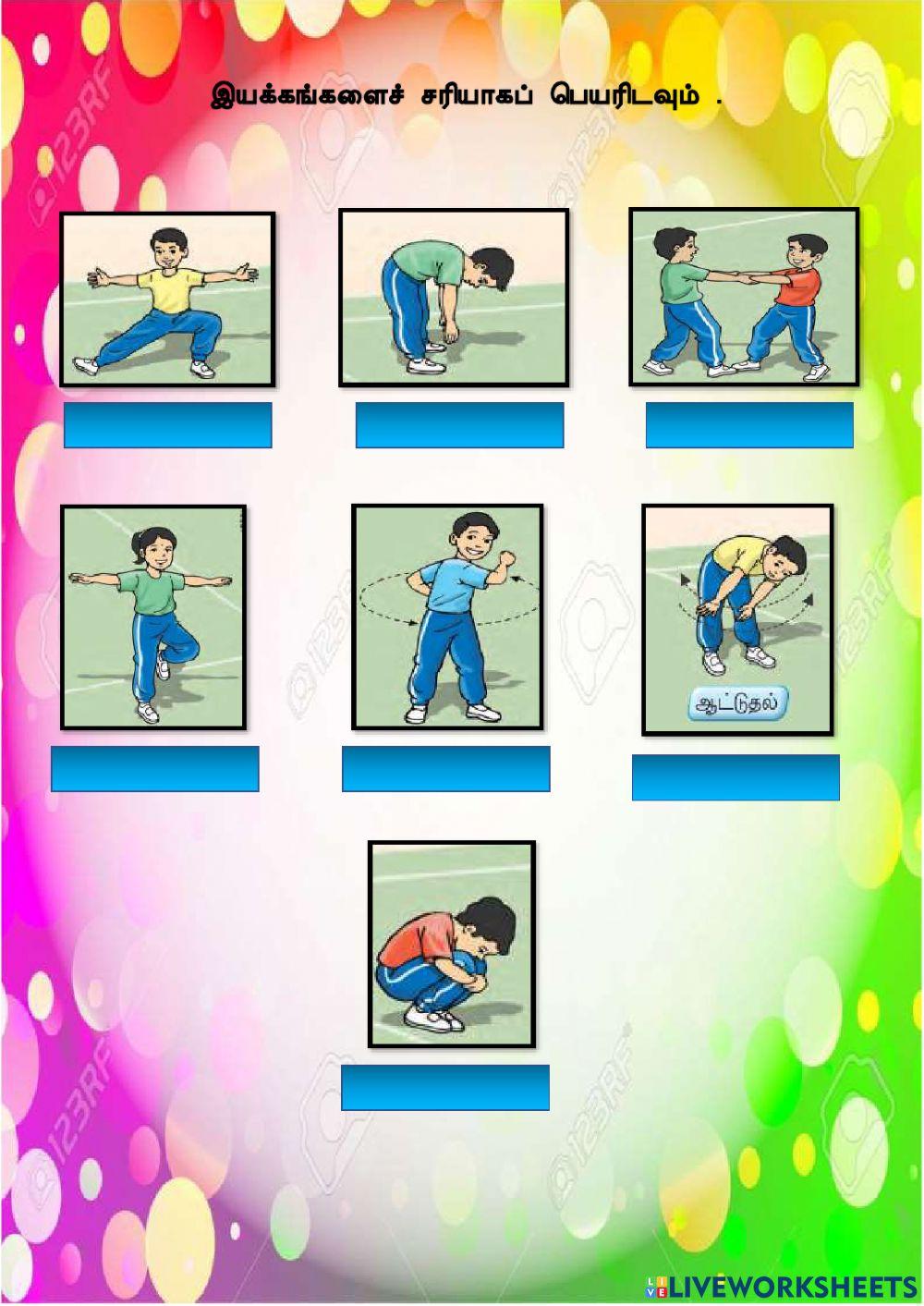உடற்கல்வி உடற்கல்வி