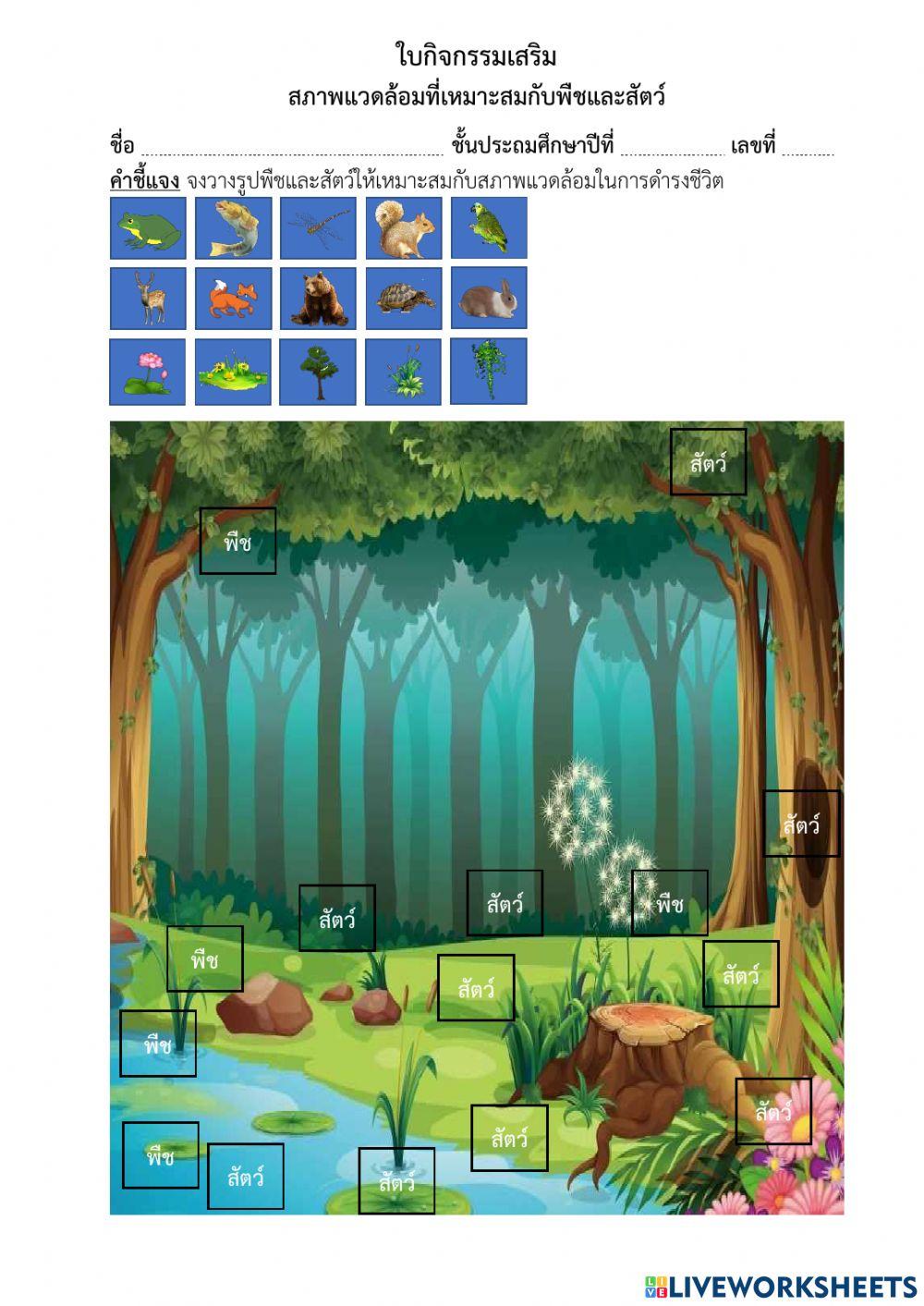 สภาพแวดล้อมที่เหมาะสมกับพืชและสัตว์