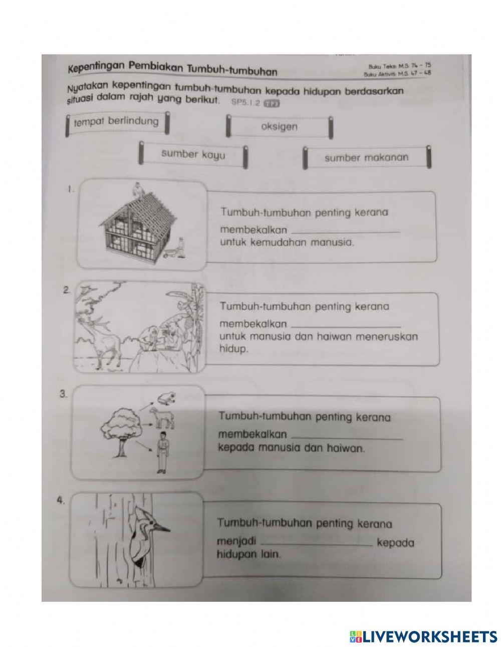 Latihan ulang kaji bab 5 - tumbuh-tumbuhan