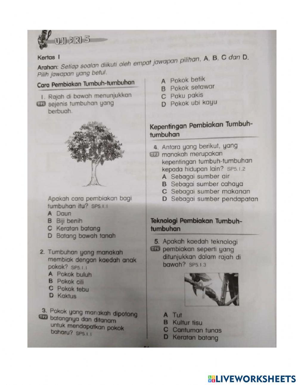 Latihan ulang kaji bab 5 - tumbuh-tumbuhan