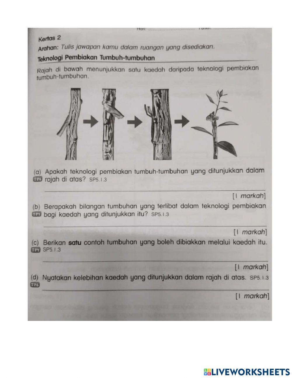 Latihan ulang kaji bab 5 - tumbuh-tumbuhan