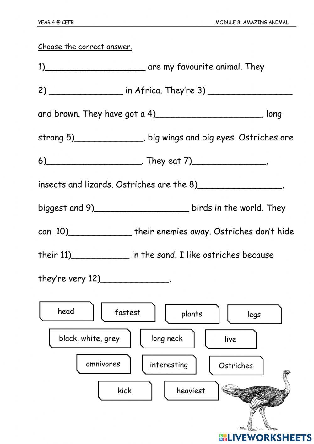 Pdf online worksheet: Amazing Animals | Live Worksheets