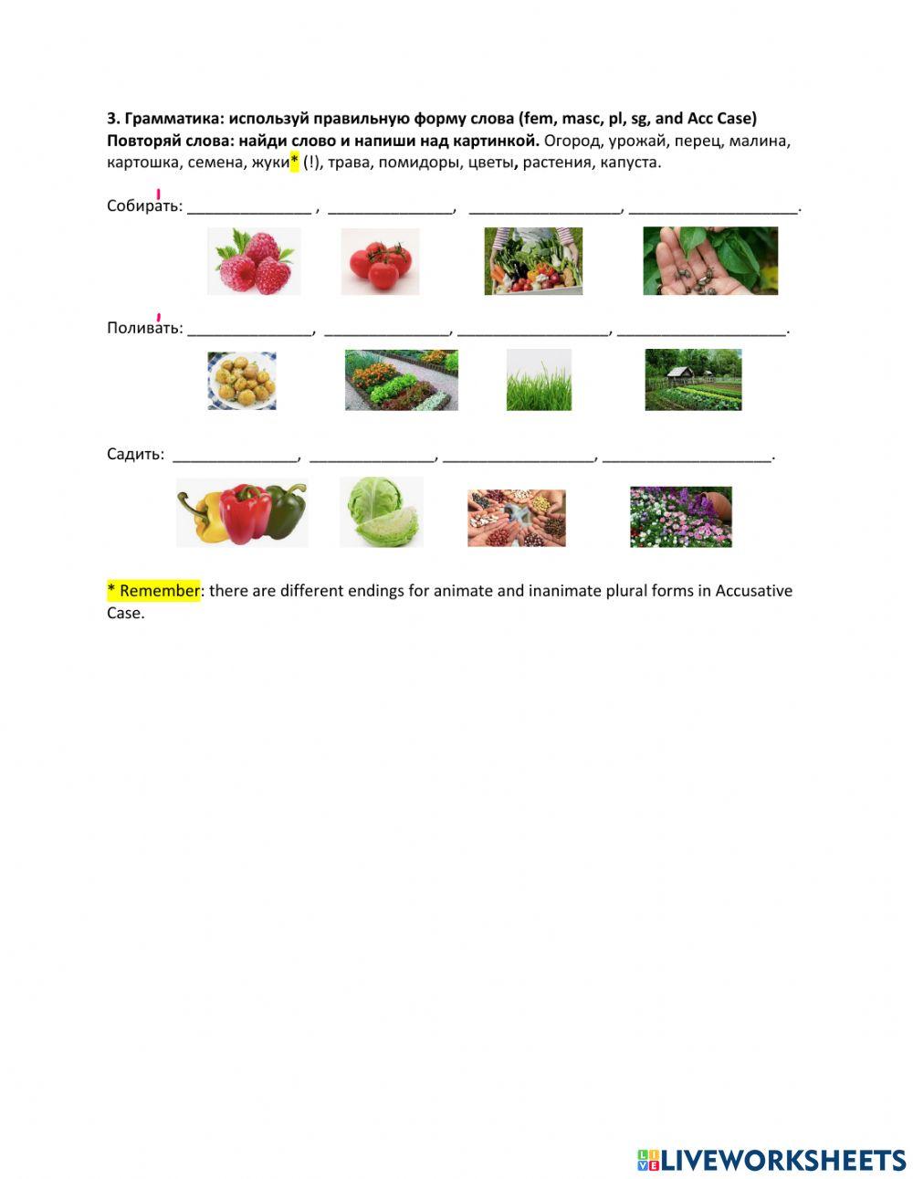 What do you do in your kitchen garden?