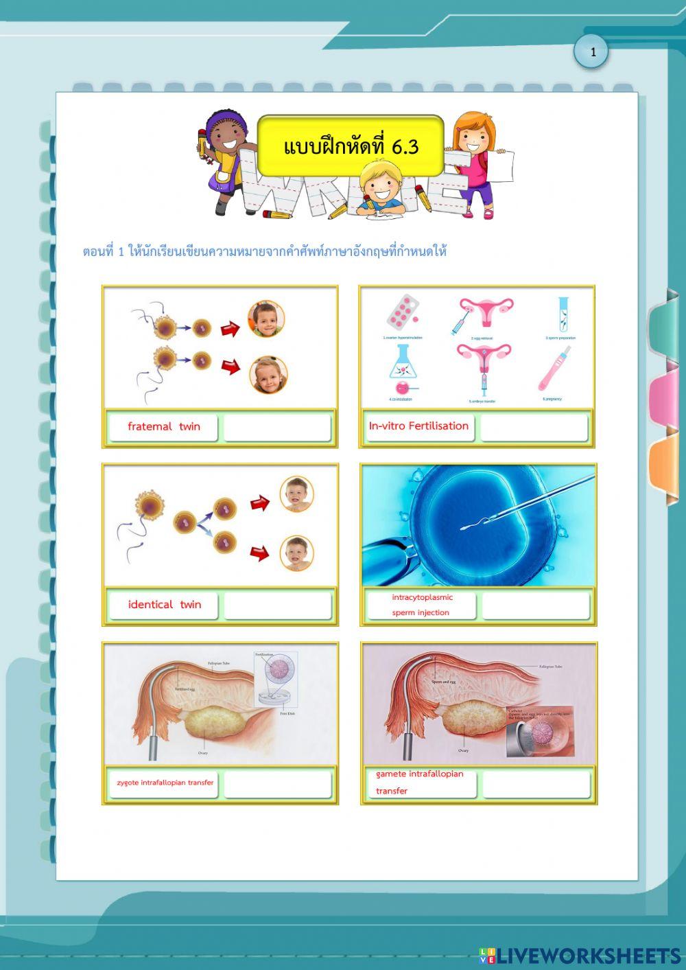 การมีบุตรยาก