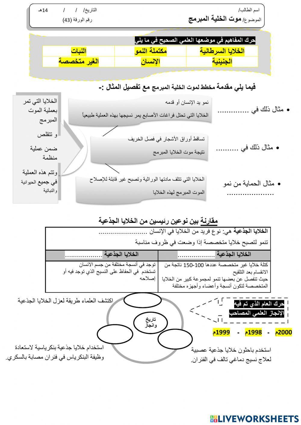 ورقة 43تفاعلية3