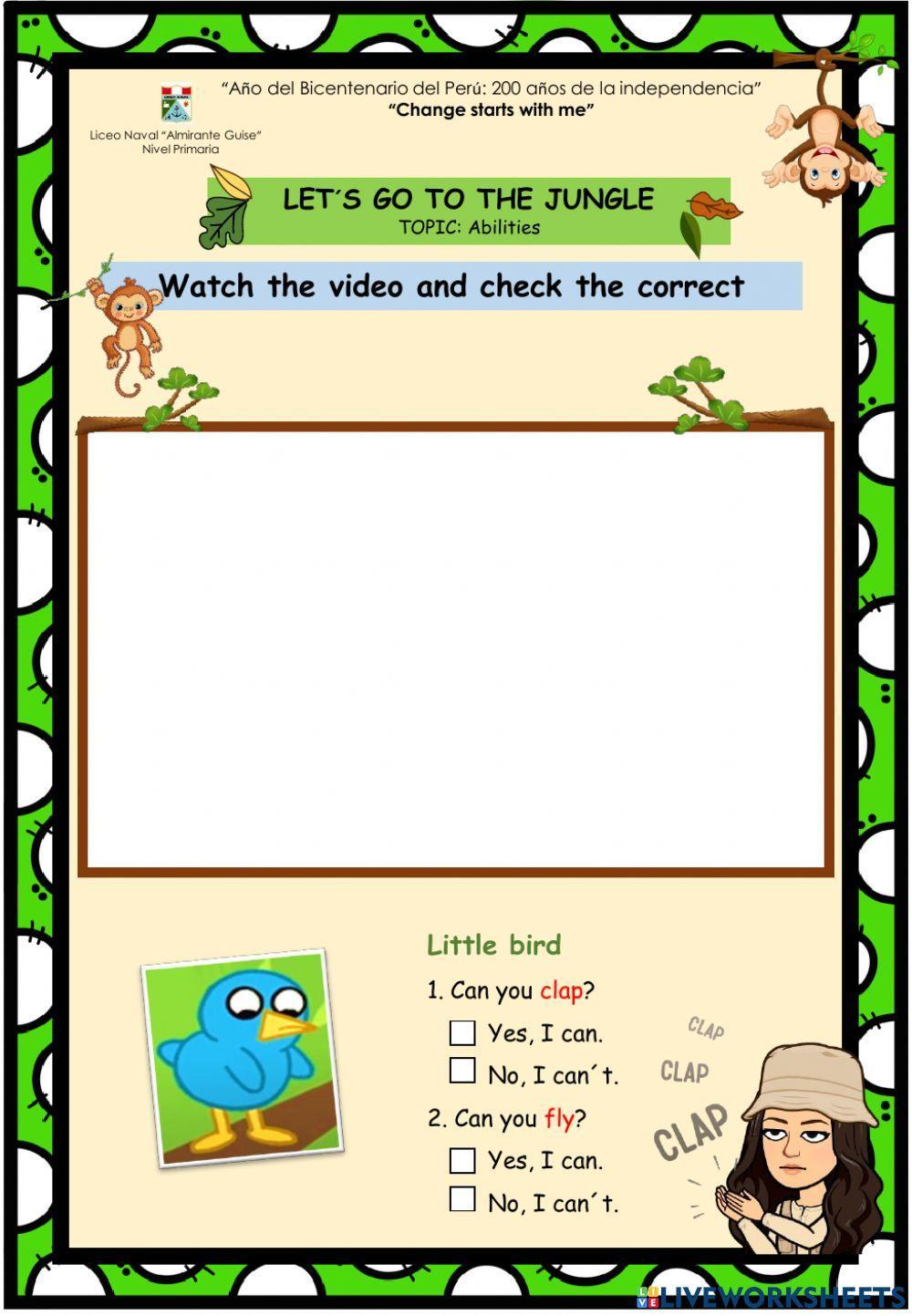 Video - wild animals