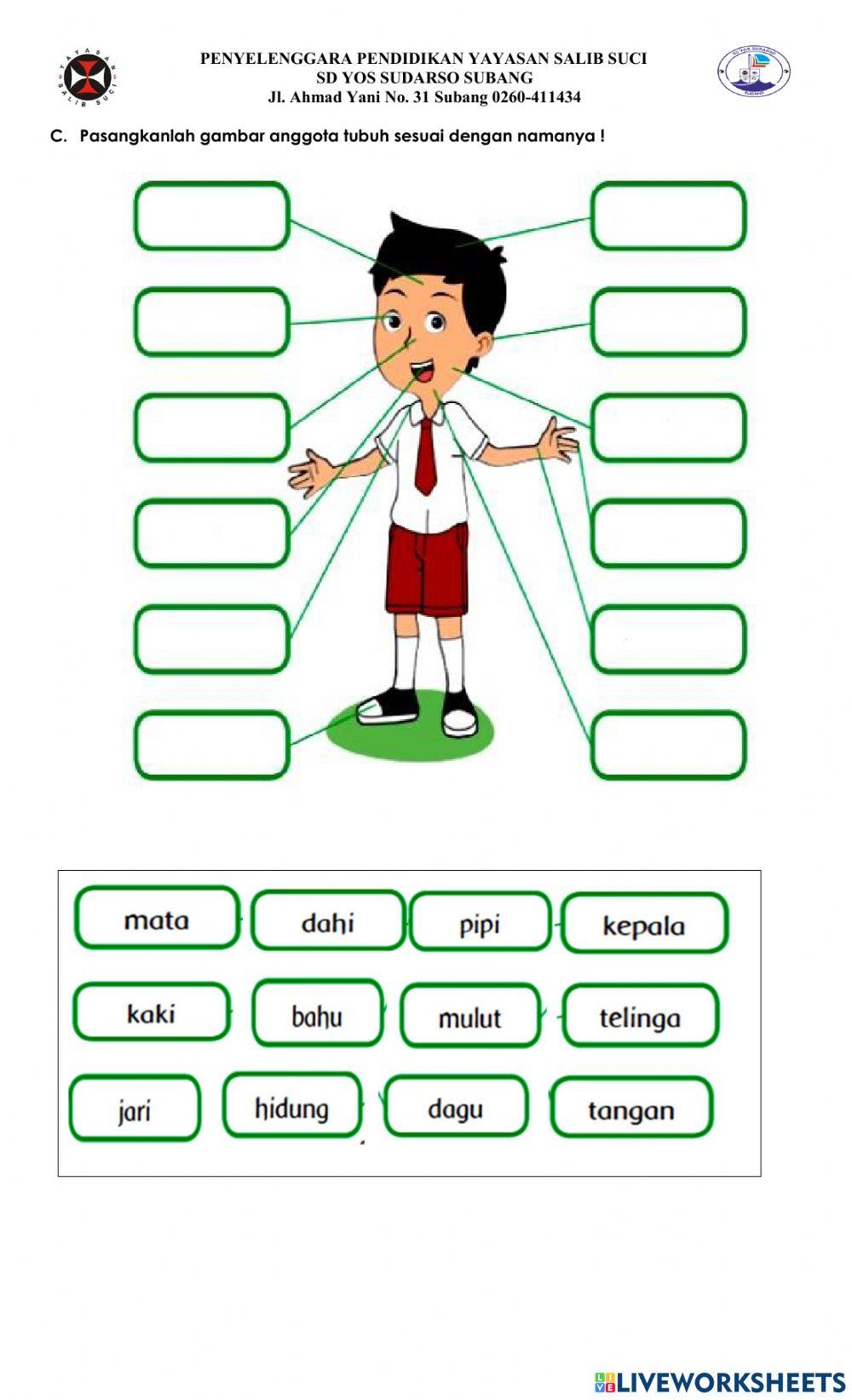 Ulangan Bahasa Indonesia KD 3.2 dan KD 3.4