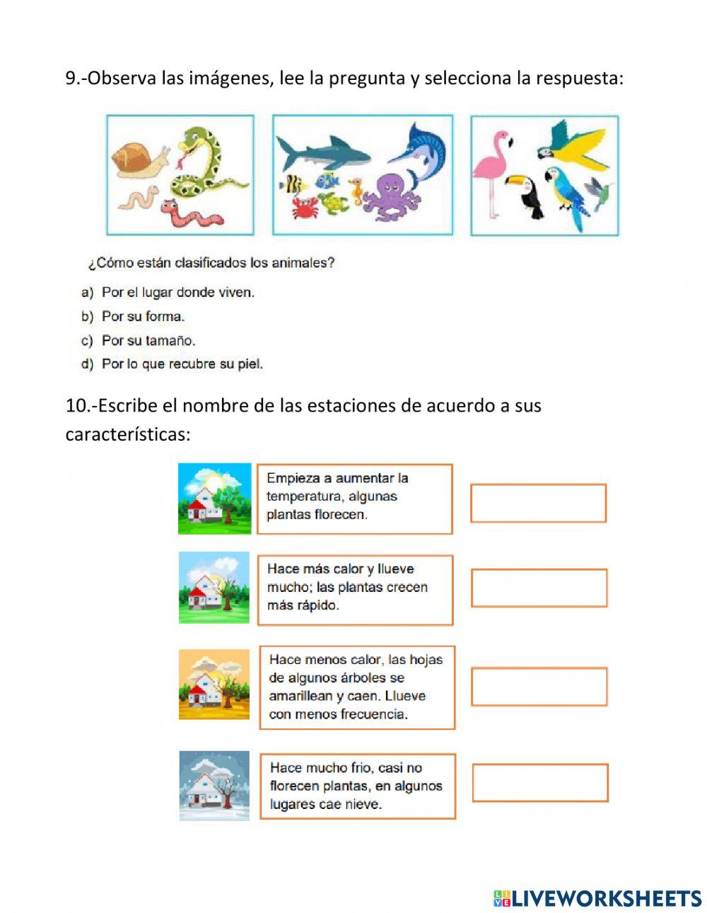 Evaluación ciencias