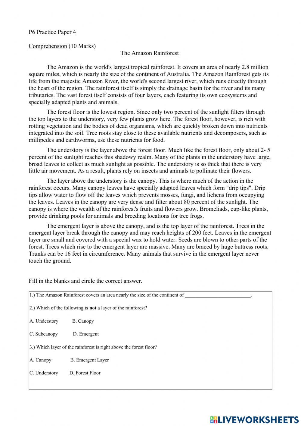 P6 Maths Worksheets Printable