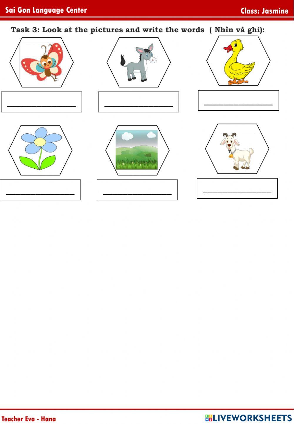 Jasmine Review Topic 4,5,6