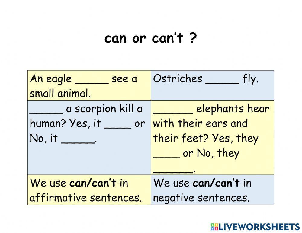 Can or can't