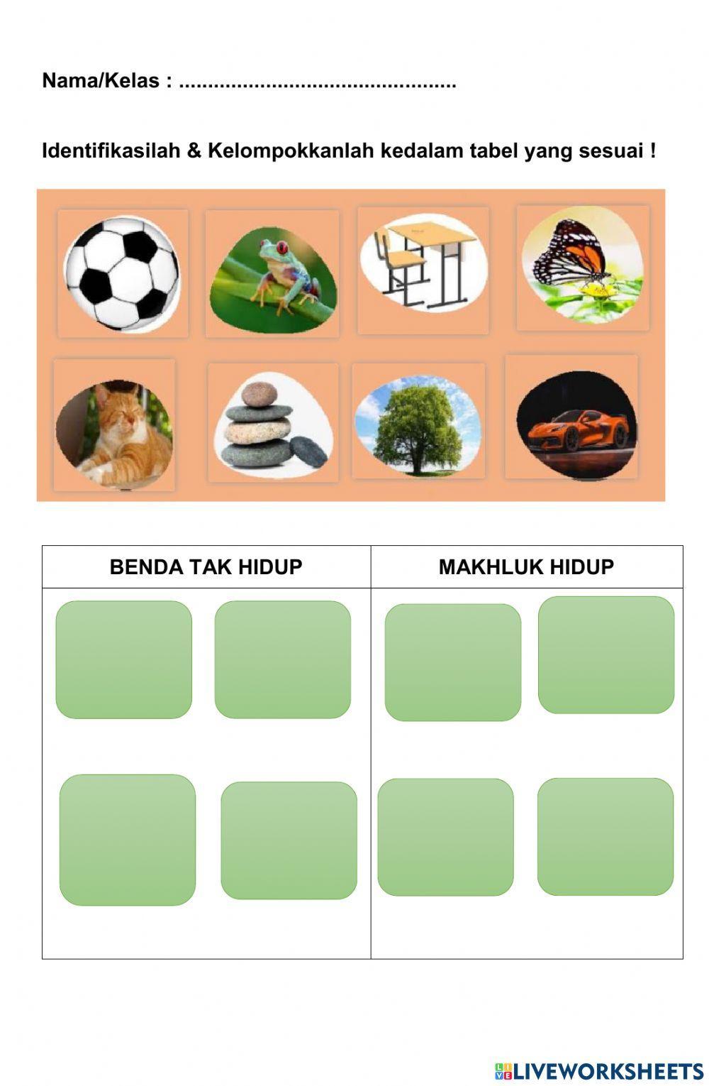 LKPD Ciri-ciri Makhluk Hidup