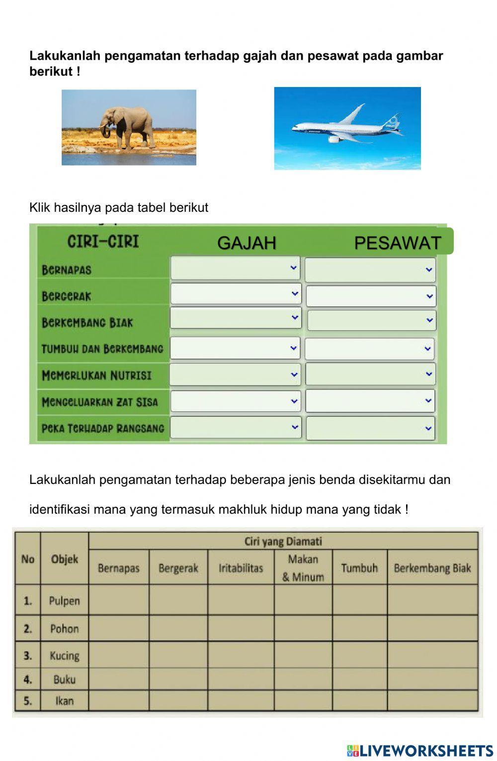 LKPD Ciri-ciri Makhluk Hidup