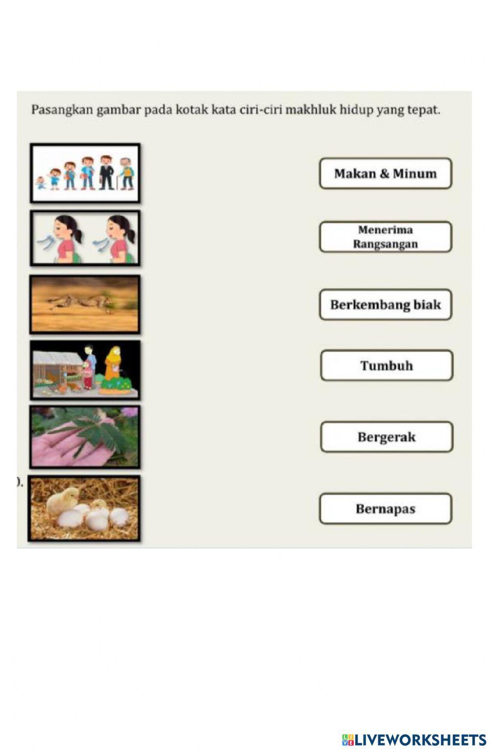 LKPD Ciri-ciri Makhluk Hidup
