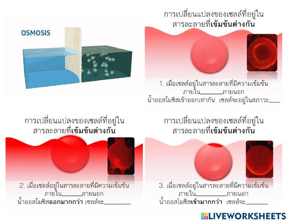 Cellular transport แก้ไข