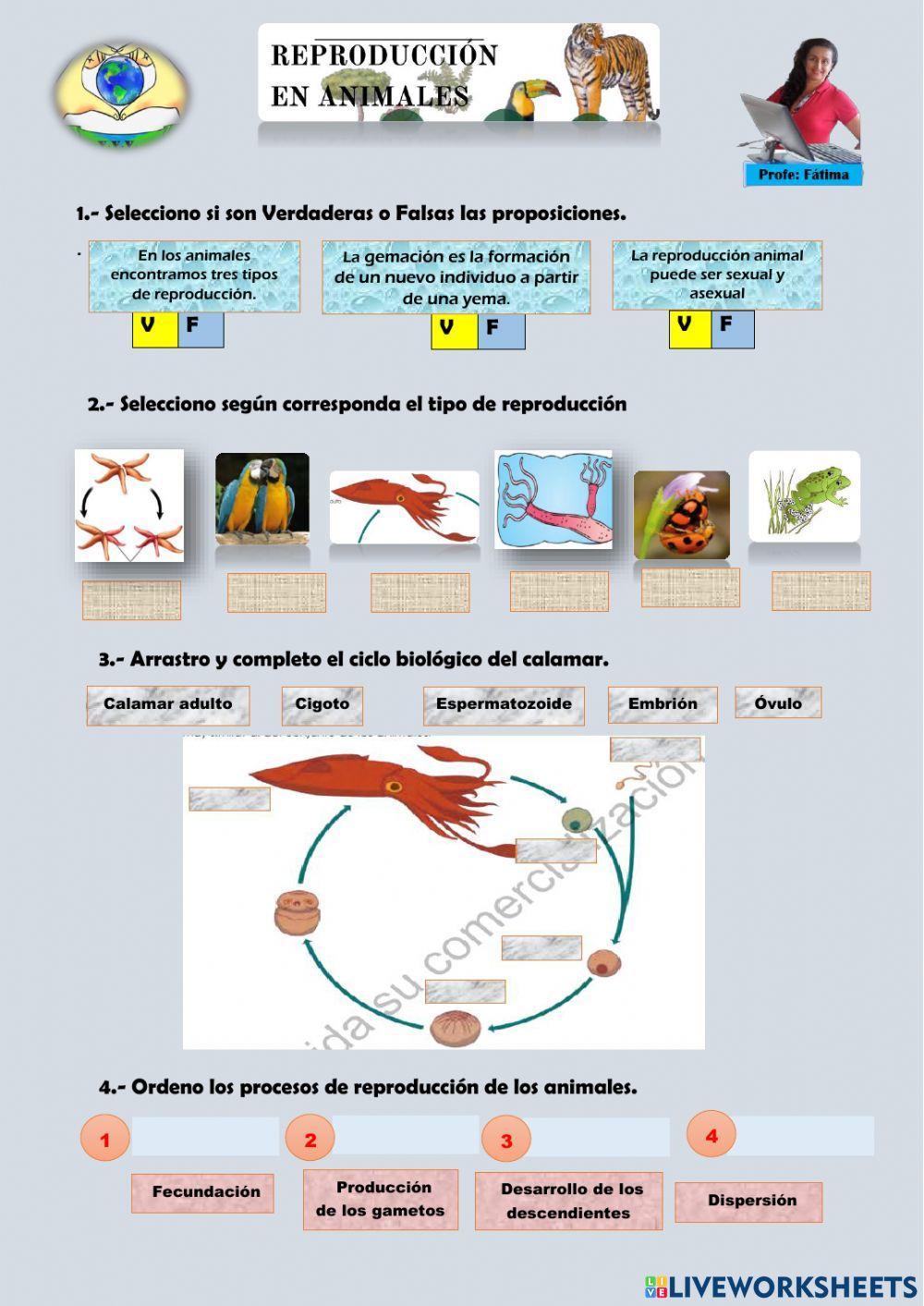 Reproducción de los animales