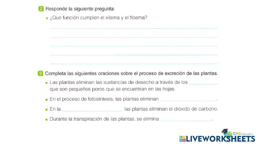 Ciencia y tecnologia