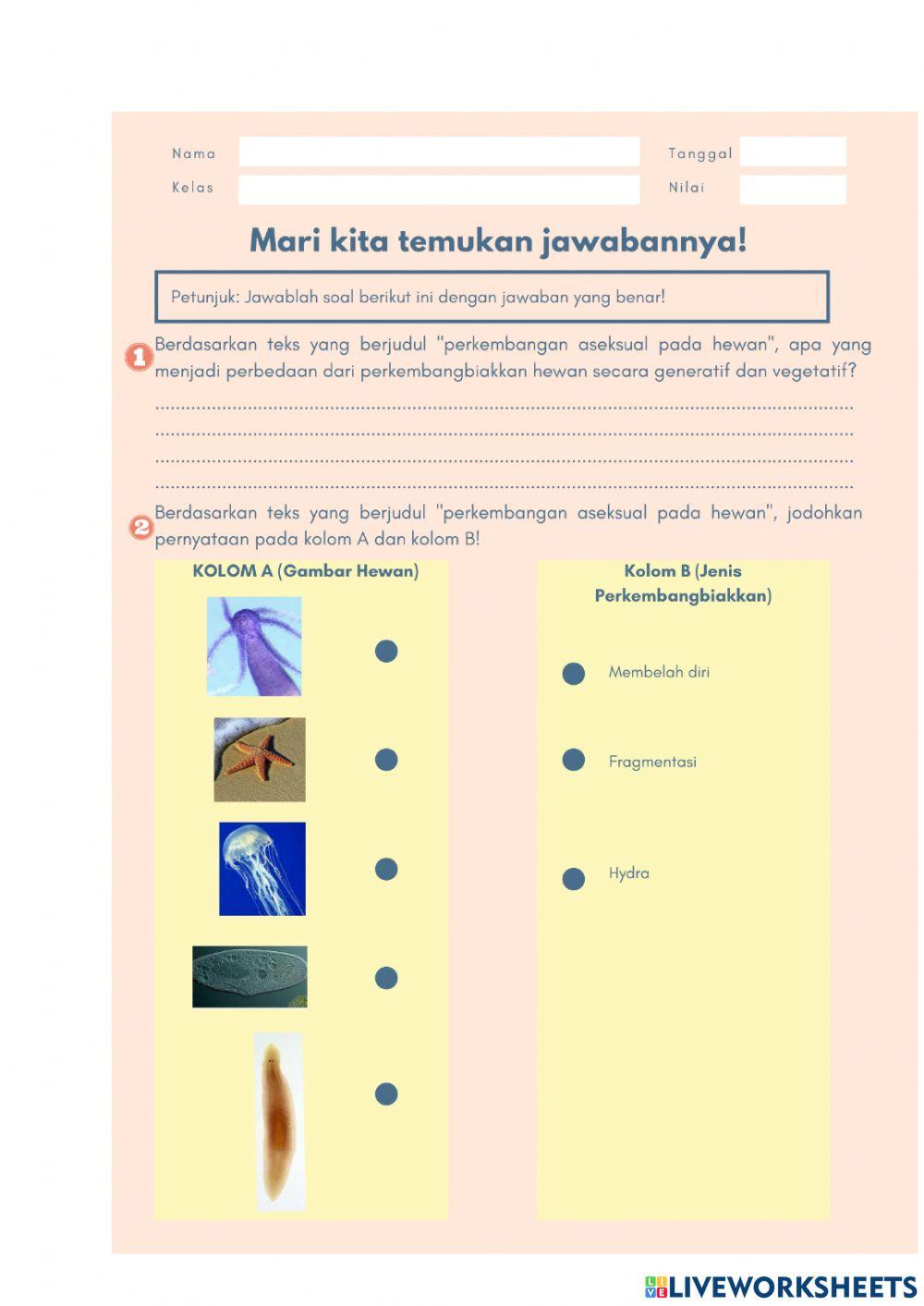 Perkembangbiakkan aseksual tumbuhan