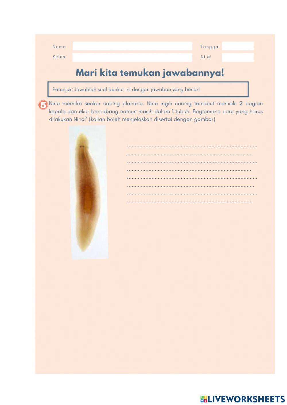 Perkembangbiakkan aseksual tumbuhan