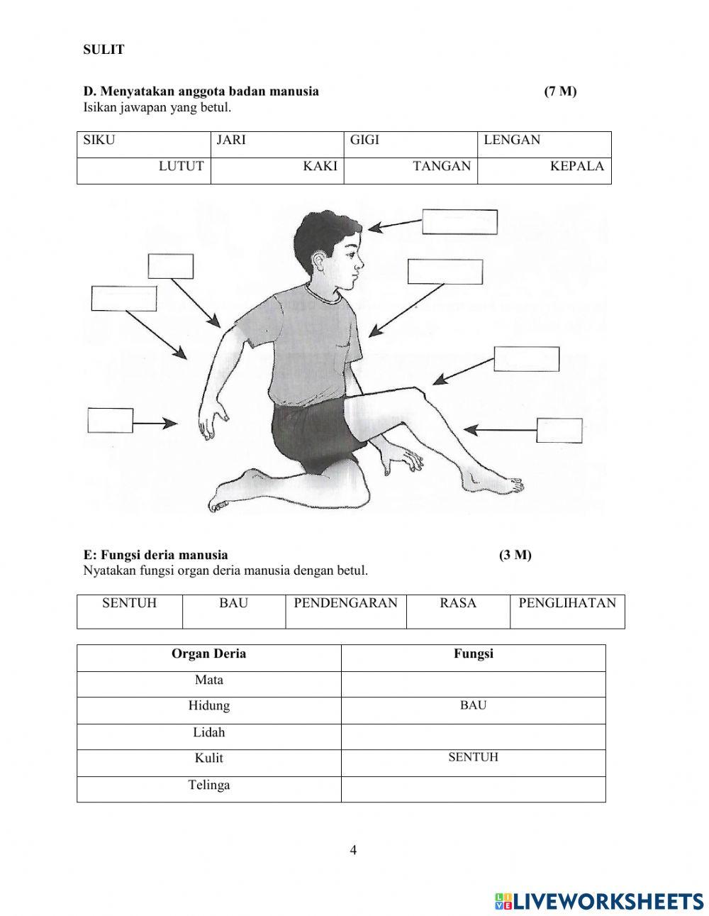 Peperiksaan pertengahan tahun abm