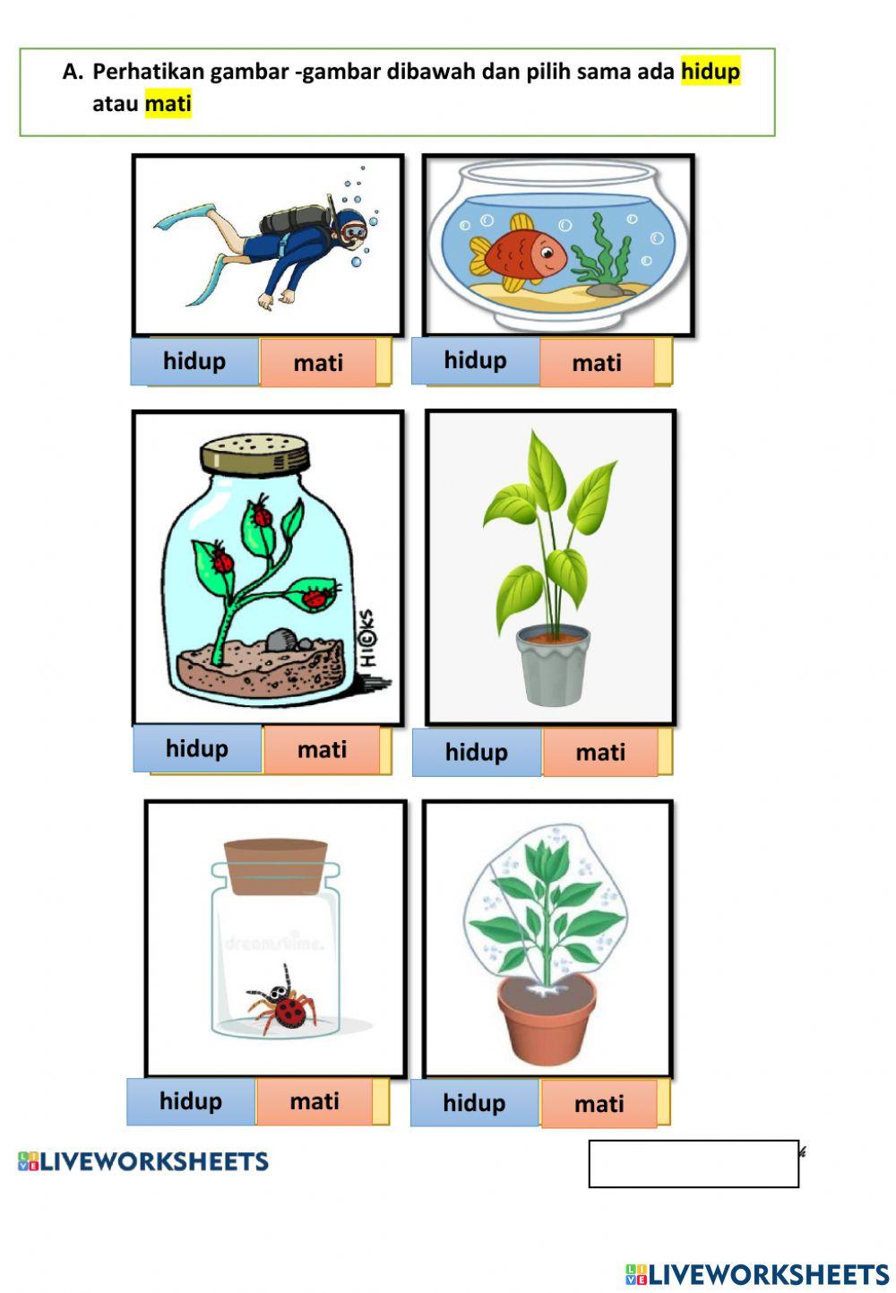 Sains tahun 2 - udara