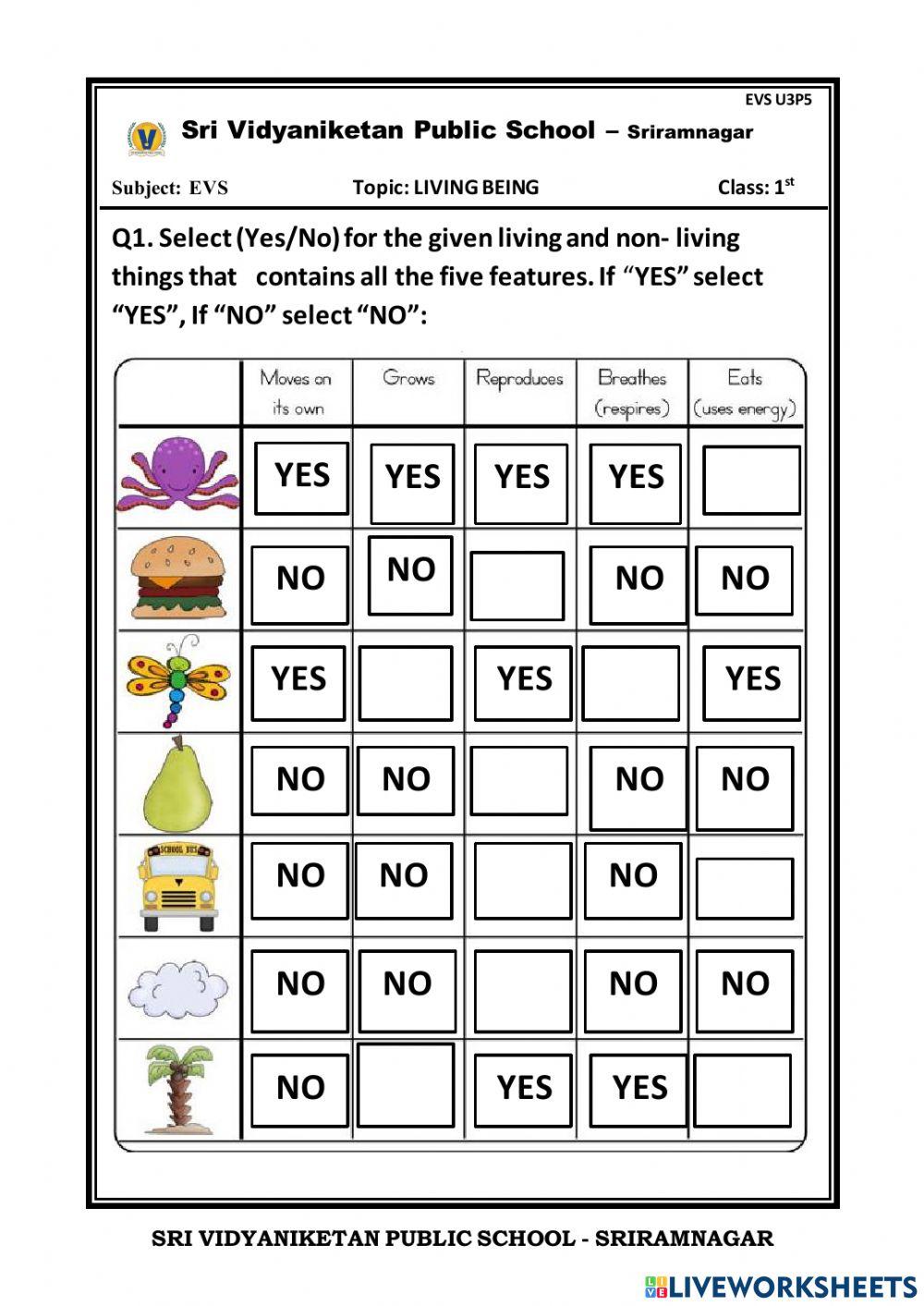 Living and non living thing