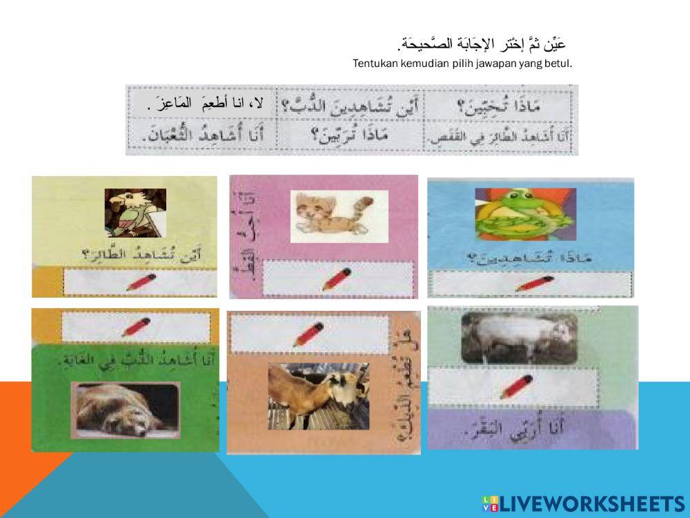 رفقا بالحيوانات