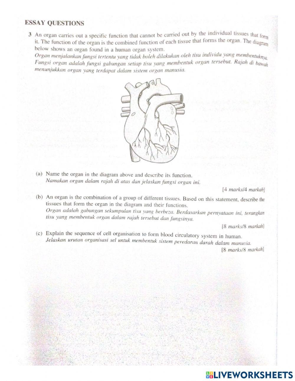 Biology paper 2