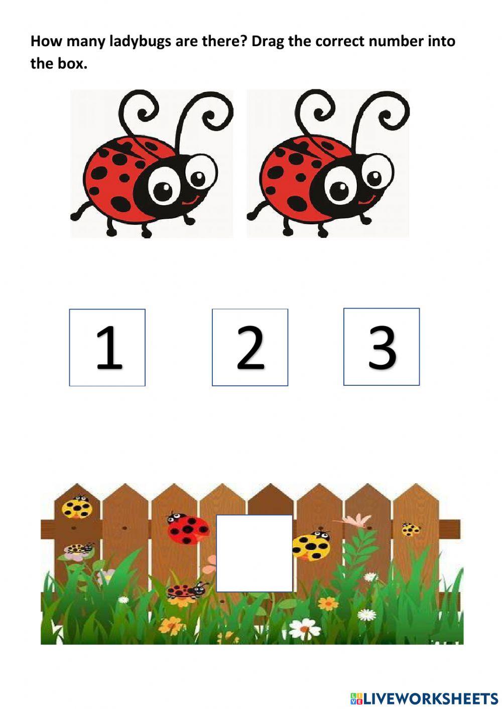 Count the ladybugs