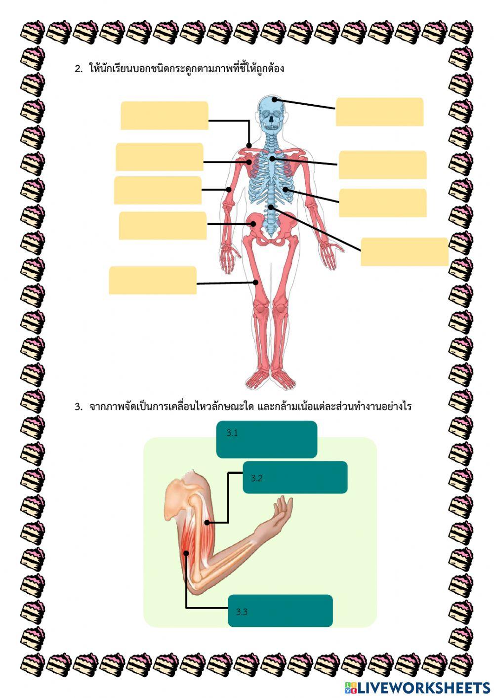 ใบงานการเคลื่อนที่ของสิ่งมีชีวิต