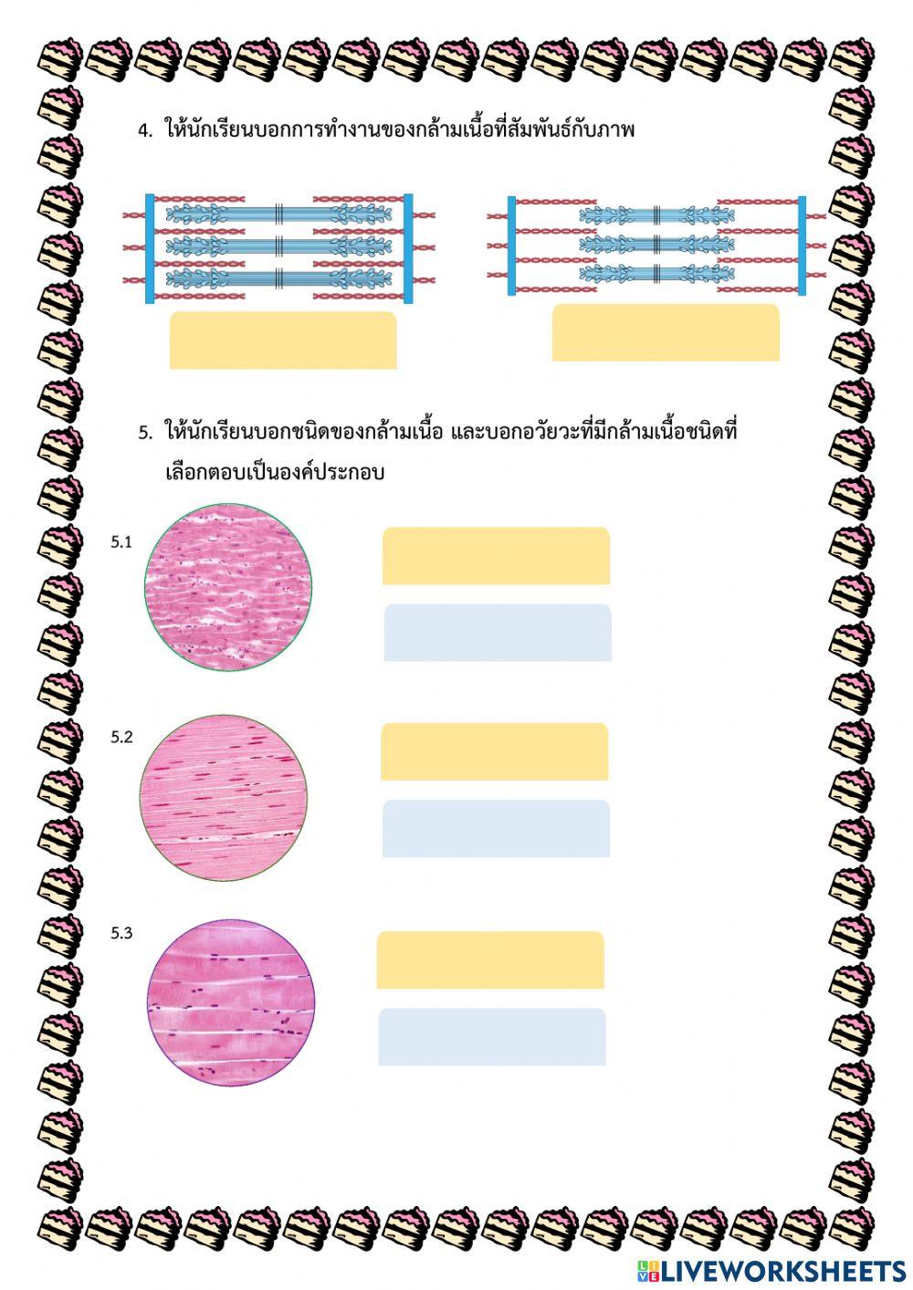 ใบงานการเคลื่อนที่ของสิ่งมีชีวิต