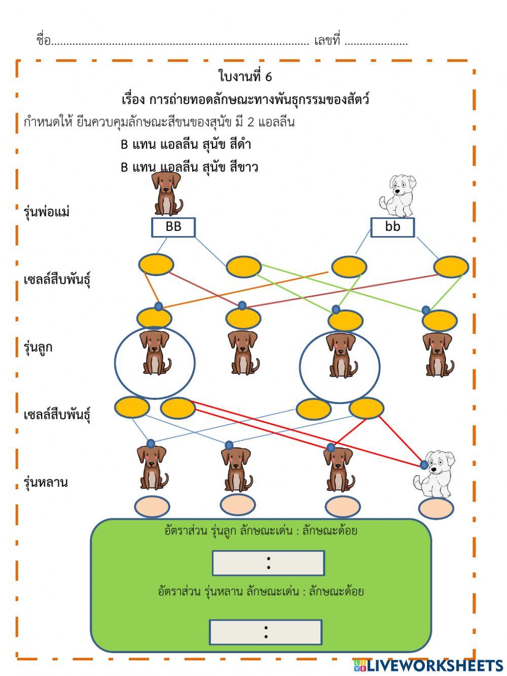 ลักษณะทางพันธุกรรมจากเซลล์สืบพันธุ์ของสัตว์