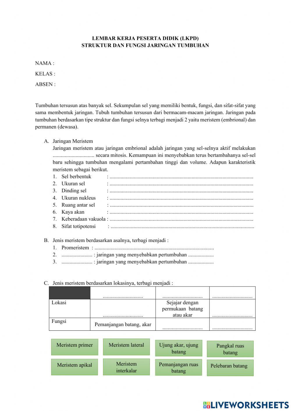 Lkpd jaringan meristem
