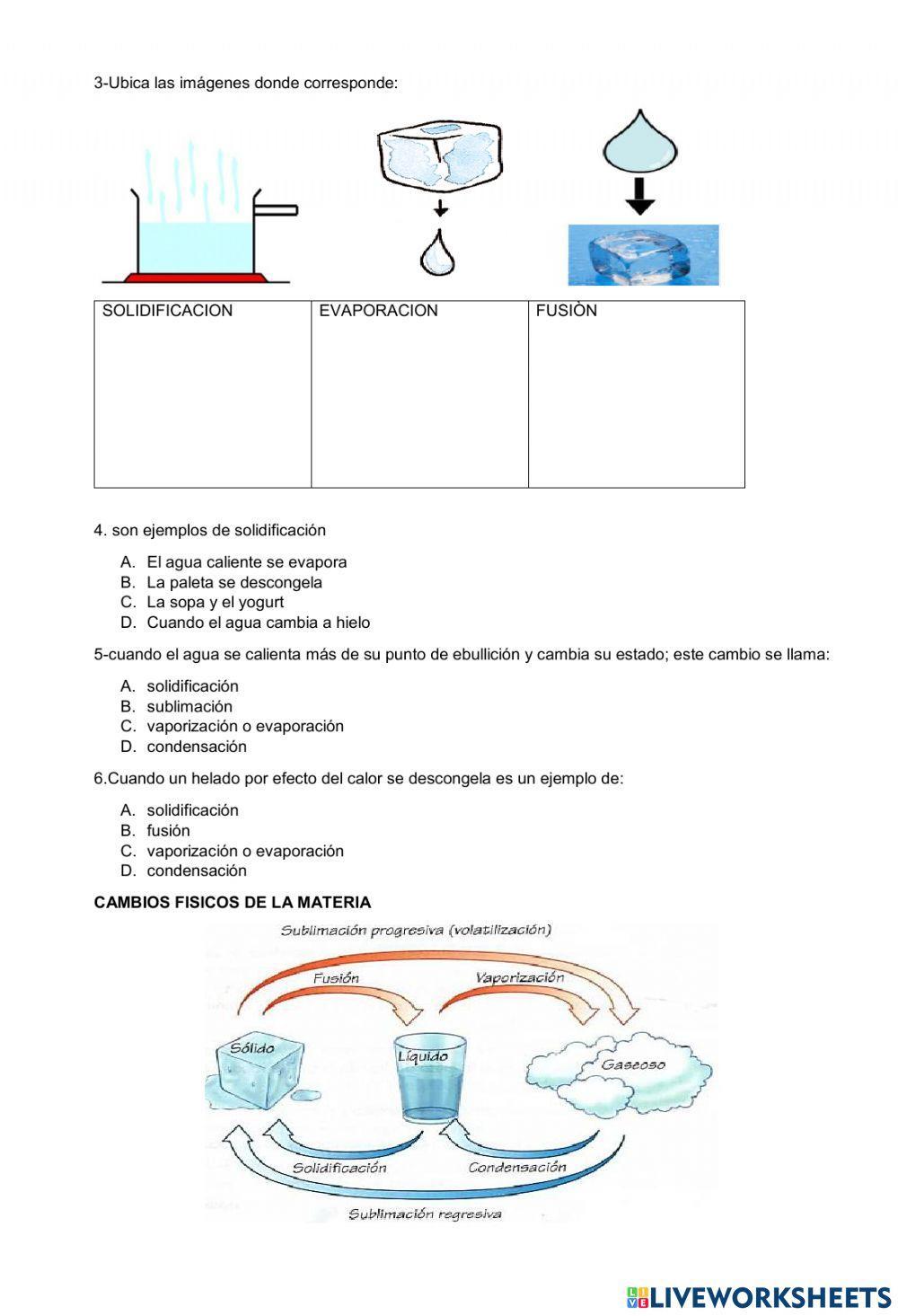 Taller cambios de la materia