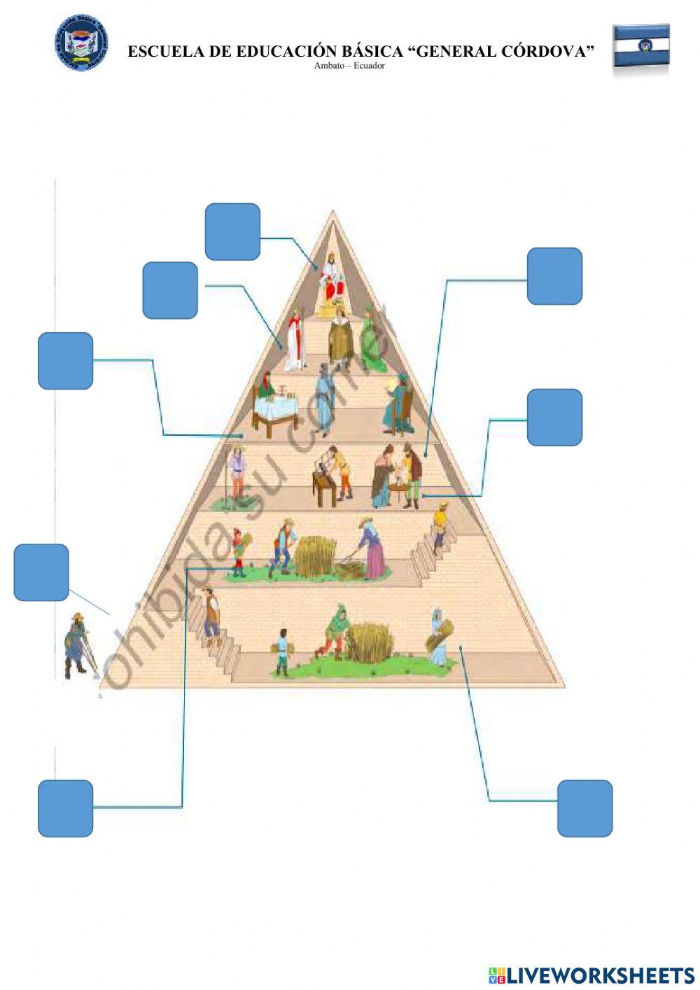Evaluación diagnóstica EE.SS 7 mo