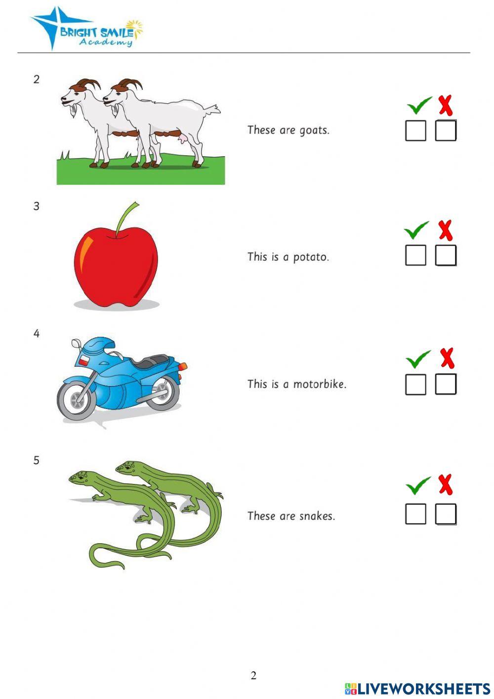 Starters Practice Plus - Test 3 - Reading Writing