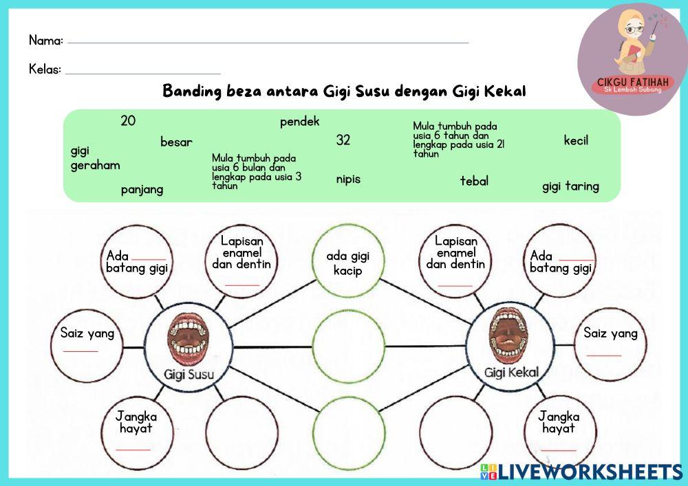 Perbandingan gigi susu dan gigi kekal