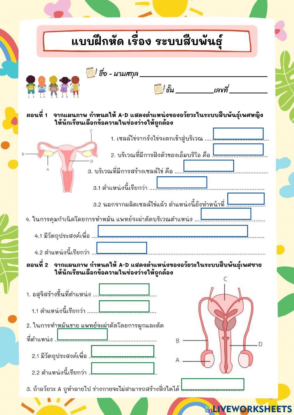 ระบบสืบพันธุ์