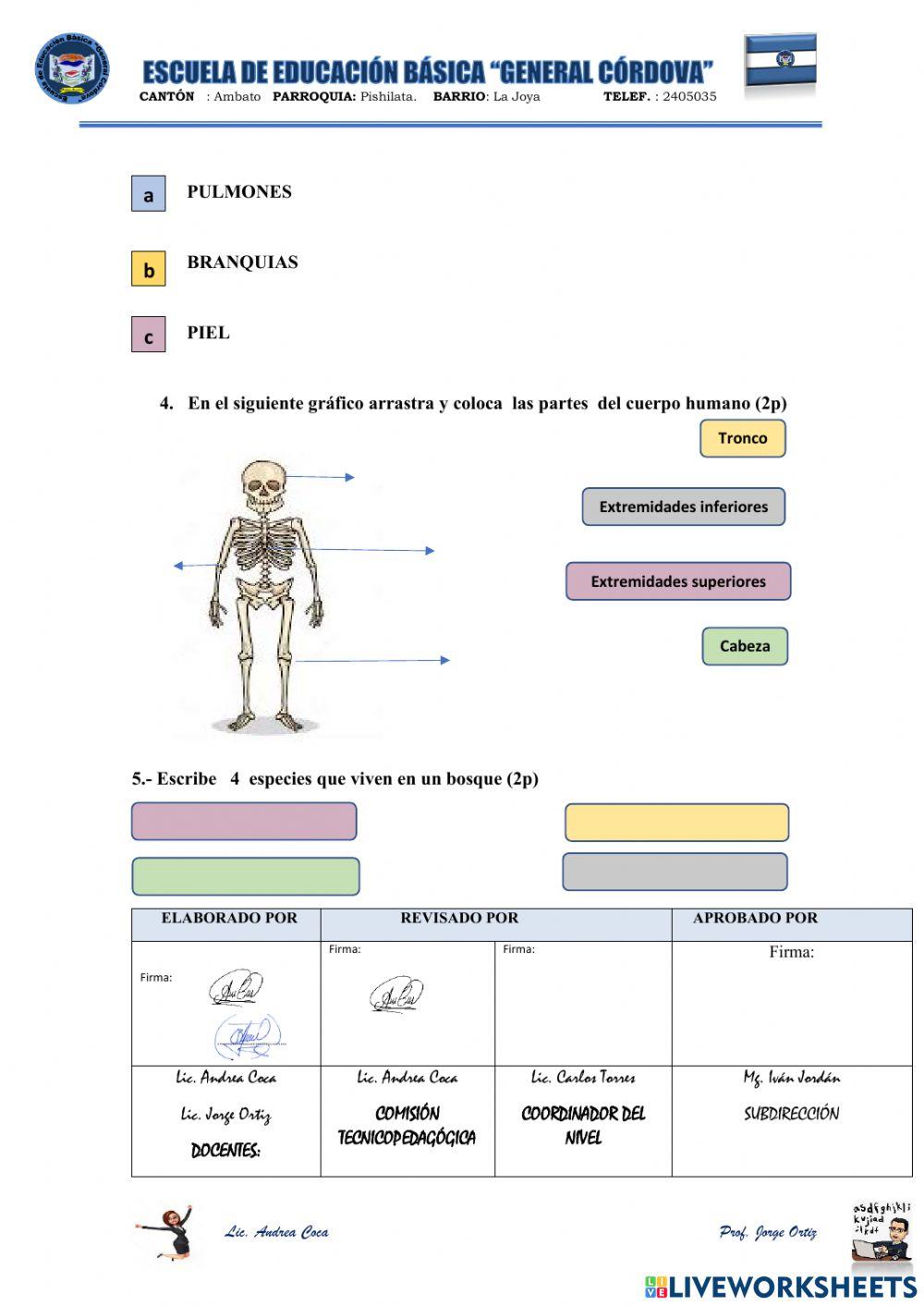 Evaluación Diagnóstica Ciencias naturales