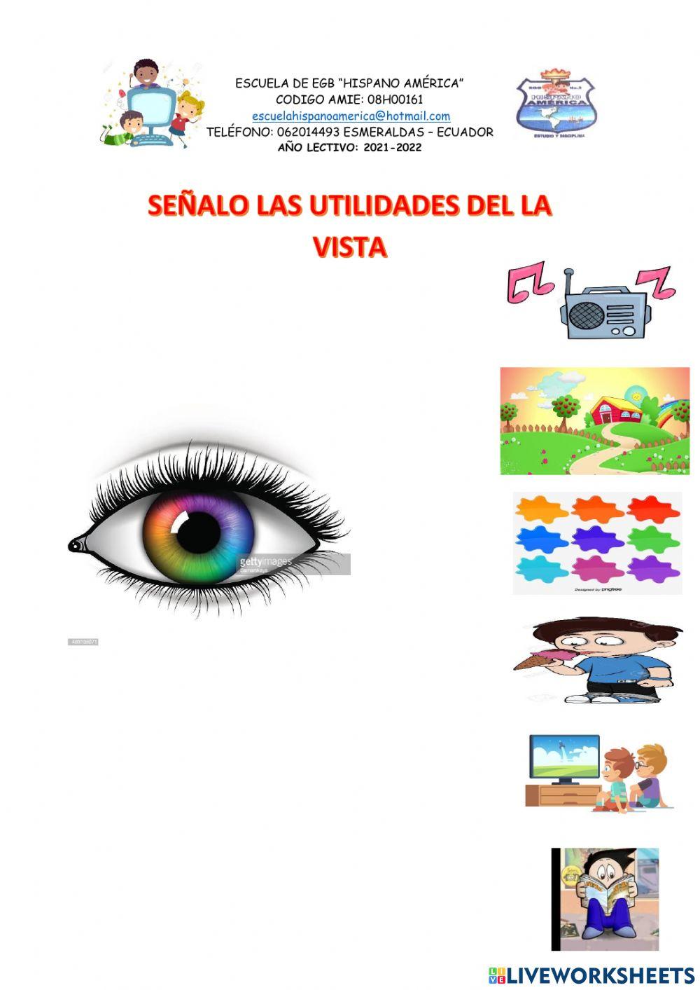 Utilidad de la vista