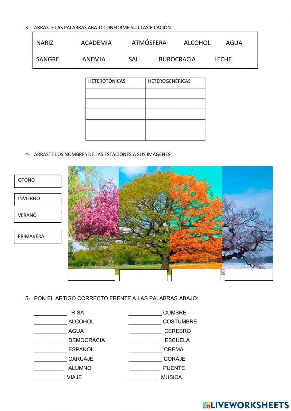 Evaluación español 2º trimestre 2021