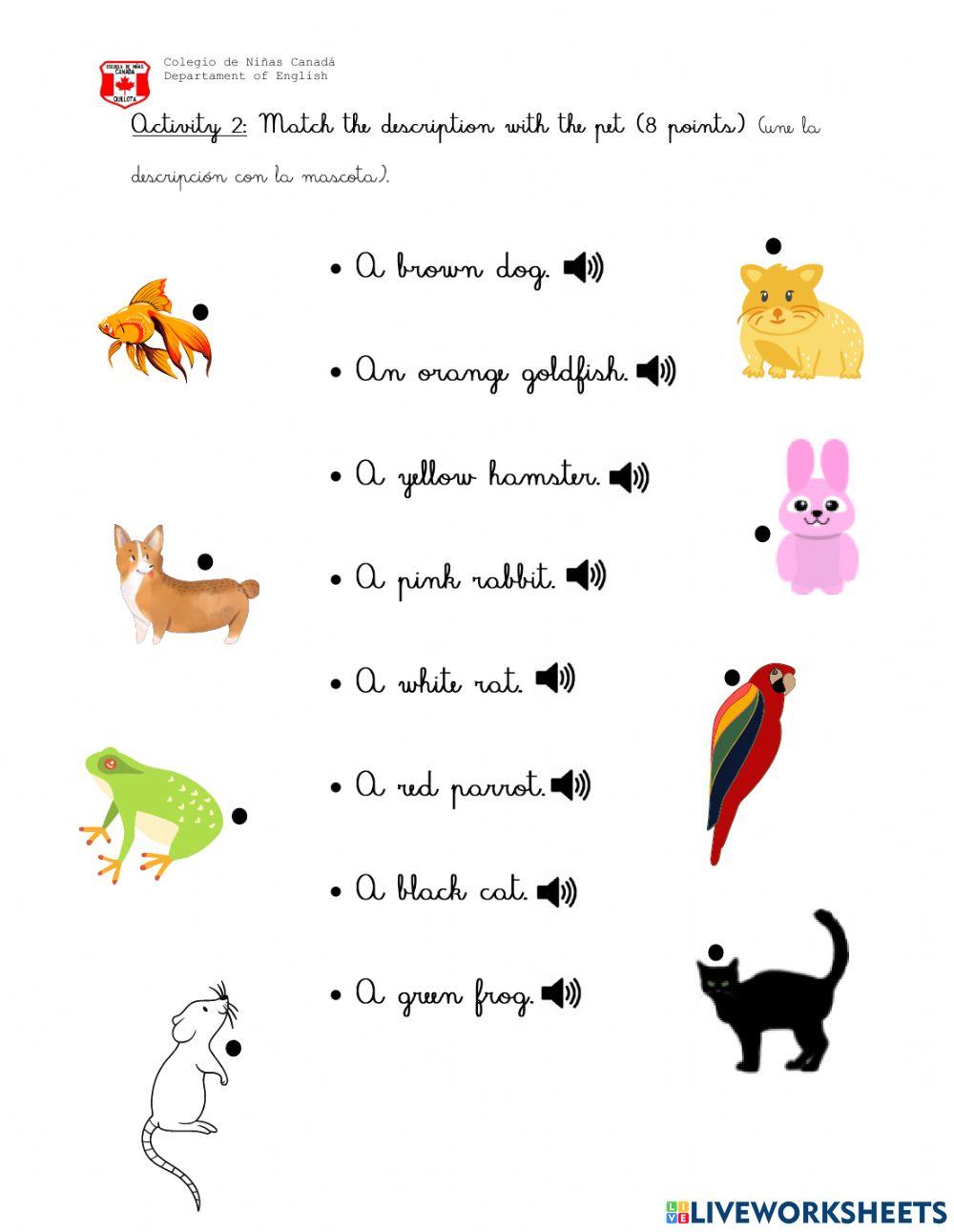 Test Unit 3 1st grade