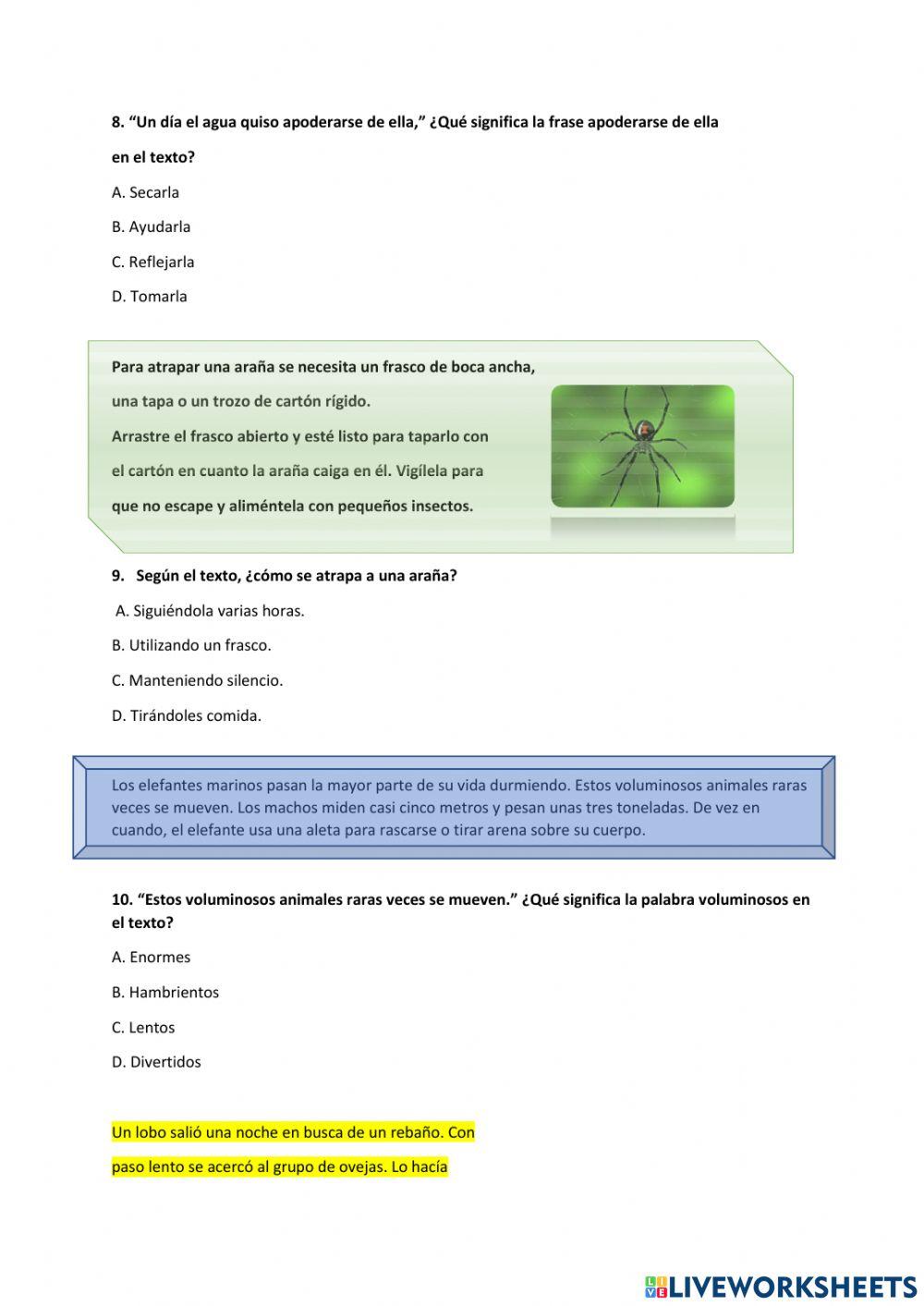 Prueba diagnóstica Español 5to